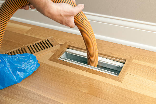 Best HVAC System Cleaning  in Danvers, IL